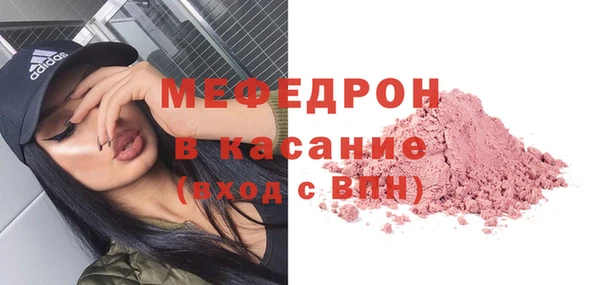 индика Пестово