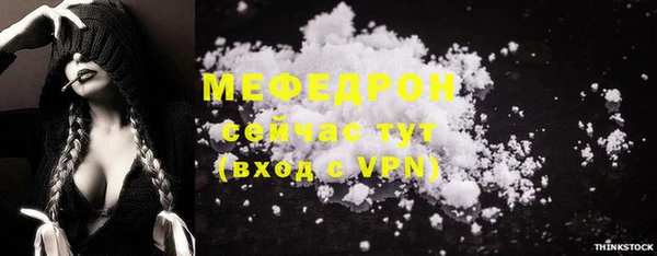 индика Пестово