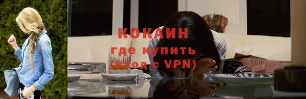 индика Пестово