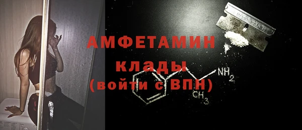 индика Пестово