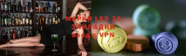 индика Пестово