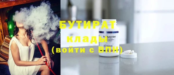 индика Пестово