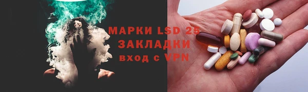индика Пестово
