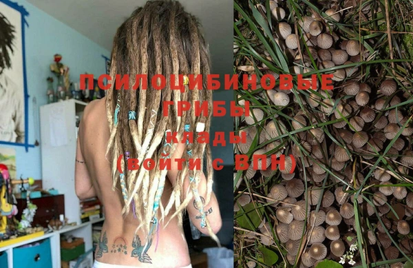 индика Пестово