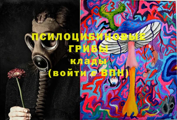 винт Осинники