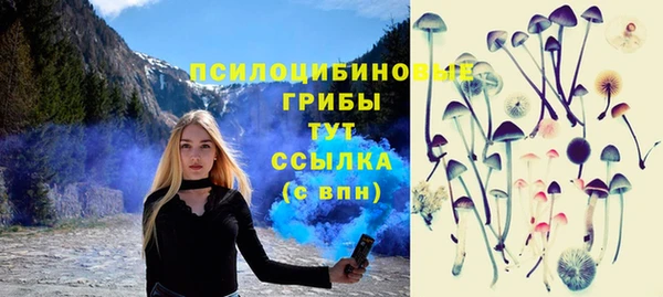индика Пестово