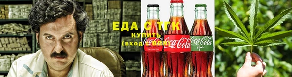 индика Пестово