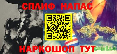 сатива Владикавказ