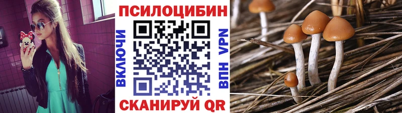 Псилоцибиновые грибы Magic Shrooms  Братск 
