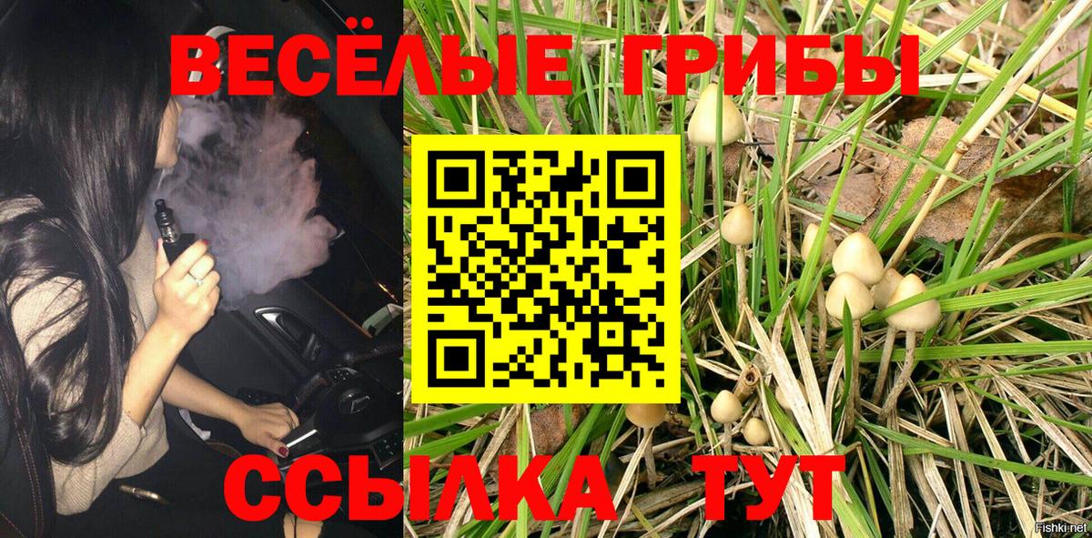 Братск  Галлюциногенные грибы Cubensis  Вход с VPN 
